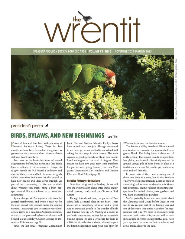 November 2024 Wrentit newsletter cover